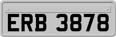 ERB3878