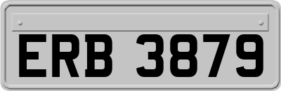 ERB3879