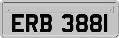 ERB3881