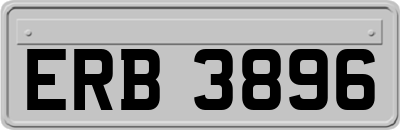 ERB3896