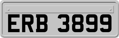 ERB3899