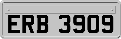 ERB3909