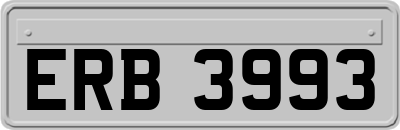 ERB3993