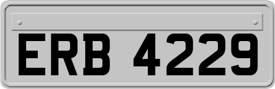 ERB4229