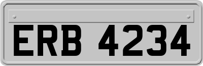 ERB4234