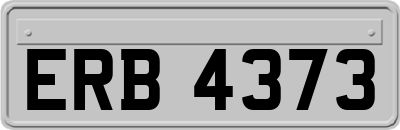 ERB4373