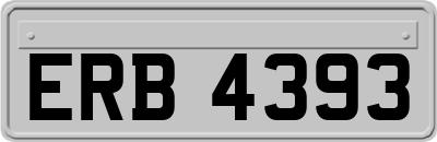 ERB4393