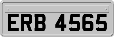 ERB4565