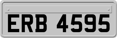 ERB4595