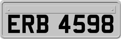 ERB4598