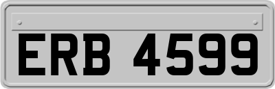 ERB4599
