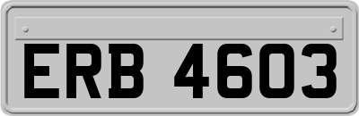 ERB4603