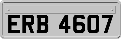 ERB4607