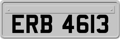 ERB4613