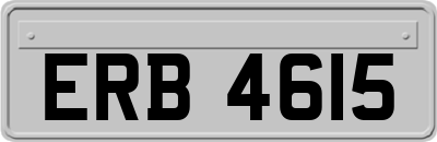 ERB4615