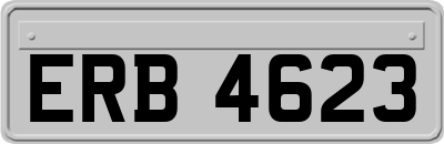 ERB4623