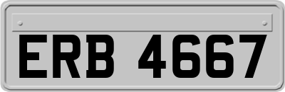 ERB4667