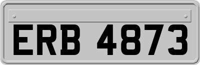 ERB4873