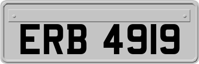 ERB4919