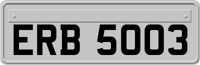 ERB5003