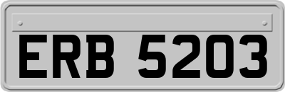 ERB5203