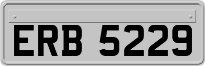 ERB5229