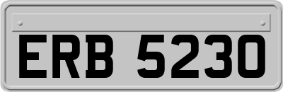 ERB5230