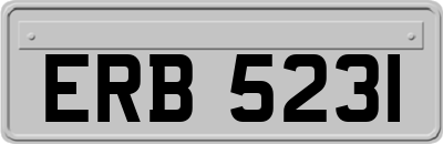 ERB5231
