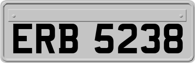 ERB5238