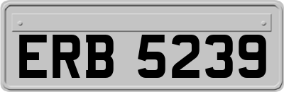 ERB5239