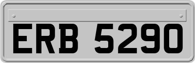 ERB5290