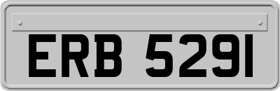ERB5291