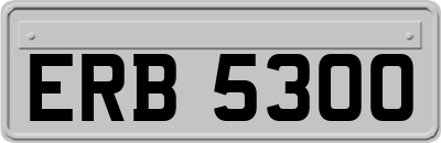 ERB5300