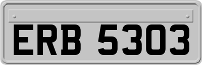 ERB5303