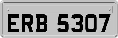 ERB5307
