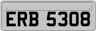 ERB5308