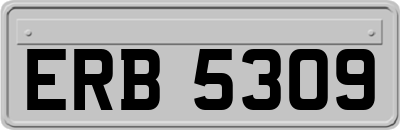 ERB5309