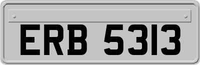 ERB5313