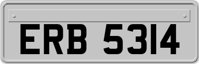 ERB5314