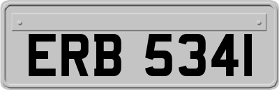 ERB5341
