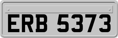 ERB5373