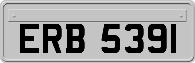 ERB5391