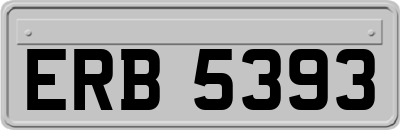 ERB5393