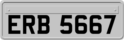 ERB5667