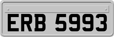 ERB5993