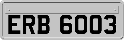 ERB6003