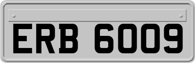 ERB6009