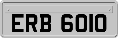 ERB6010