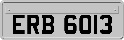 ERB6013