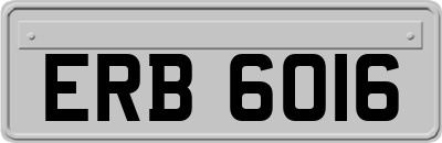 ERB6016